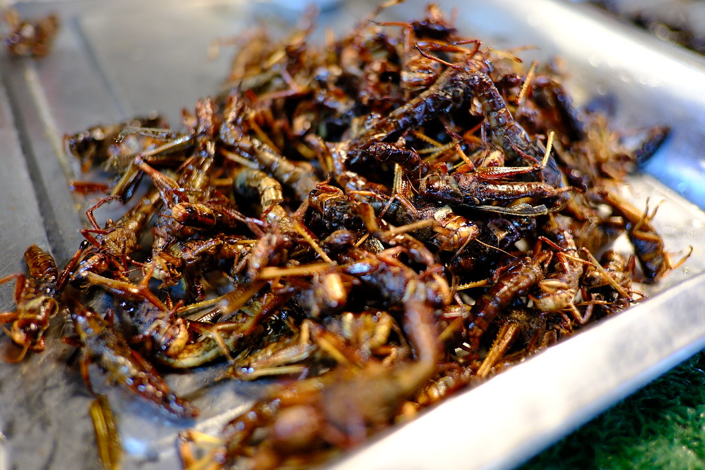 Insect Sushi and Cricket Flour: The Future of Protein?