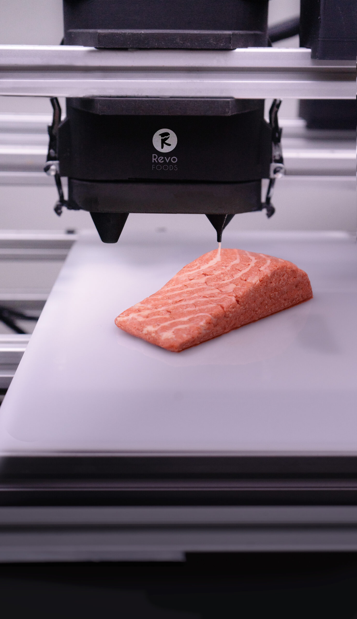 From the Lab to Your Plate: Will 3D-Printed Meat Become Normal?