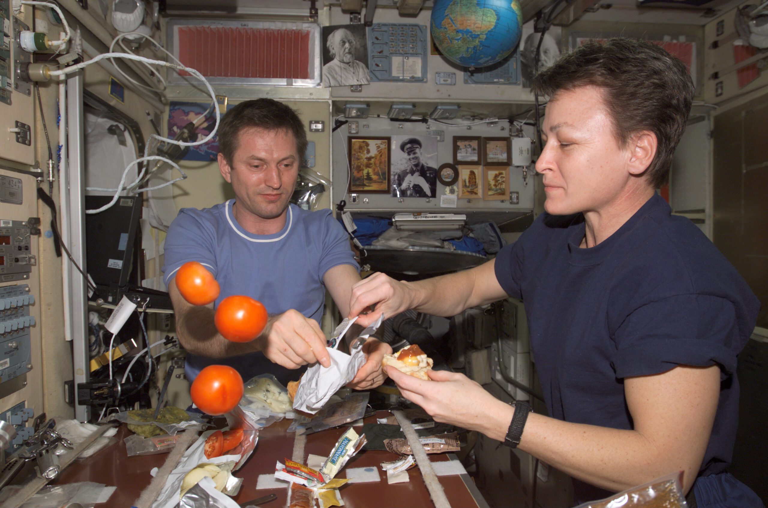 Sushi in Space: How Astronauts Crave Earthly Meals