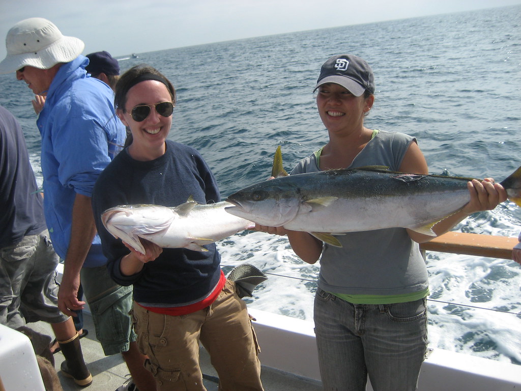 Countries That Practically Live on Fish – And Their Heart Health Shows It