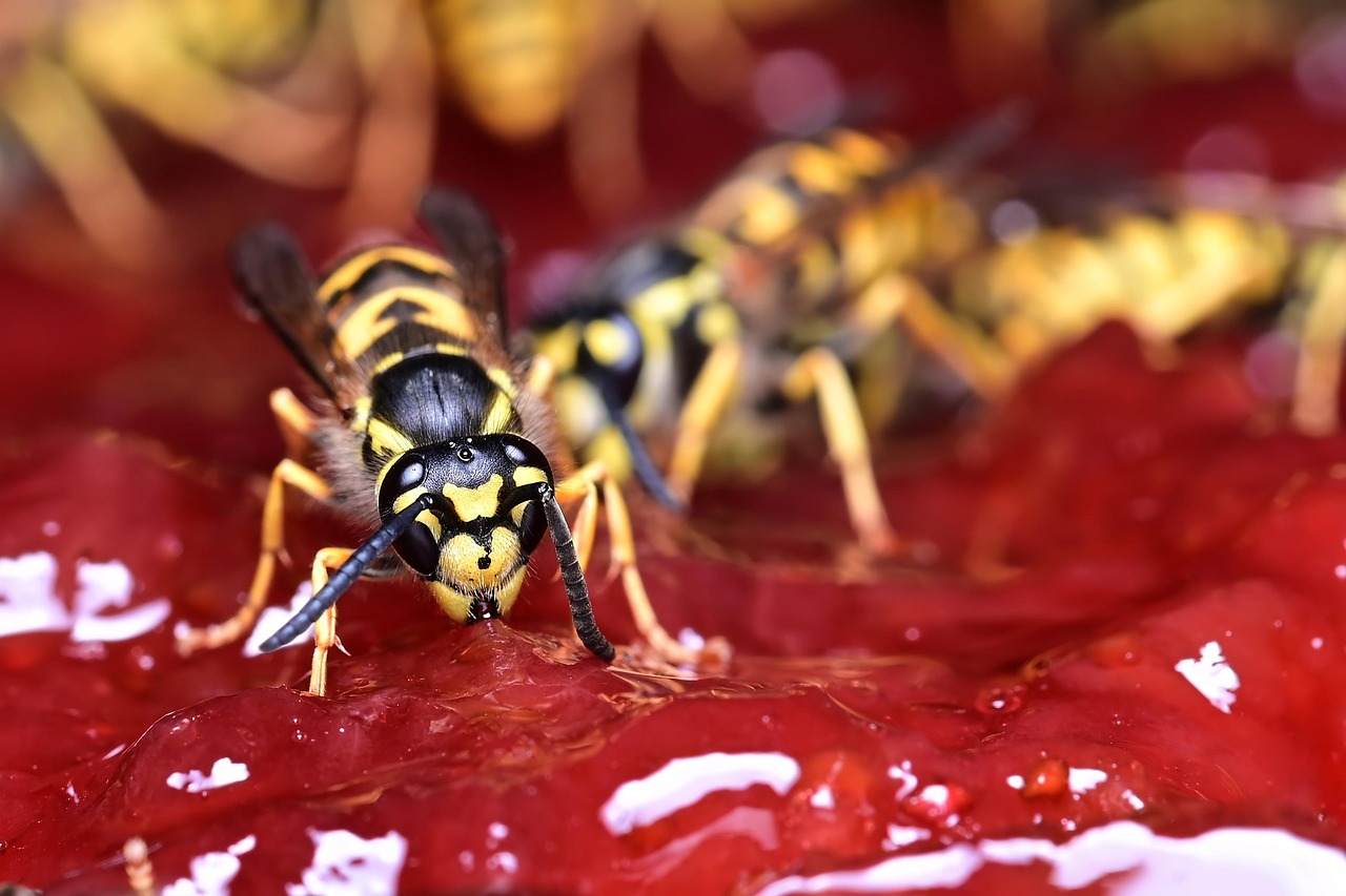 15 Foods That Attract Pests (But Most People Still Store Them Wrong)