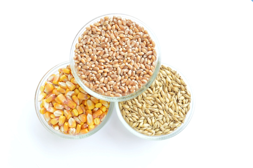 Foods That Promote Hair Growth