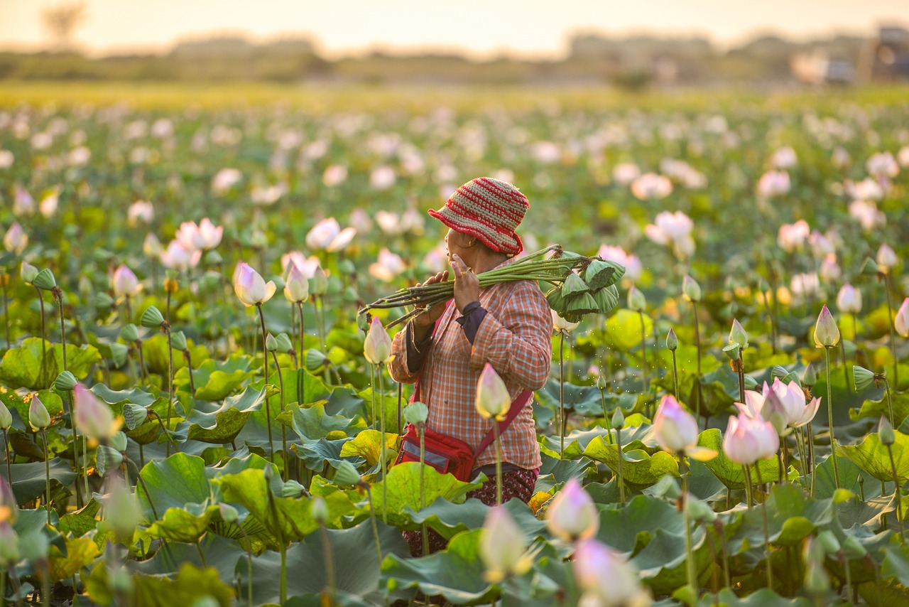 From Drought to Dessert: How Climate Change Is Altering Wine and Chocolate