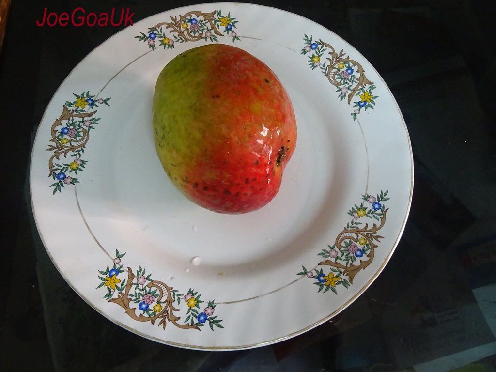"How Your Plate Size Tricks You Into Eating More or Less"