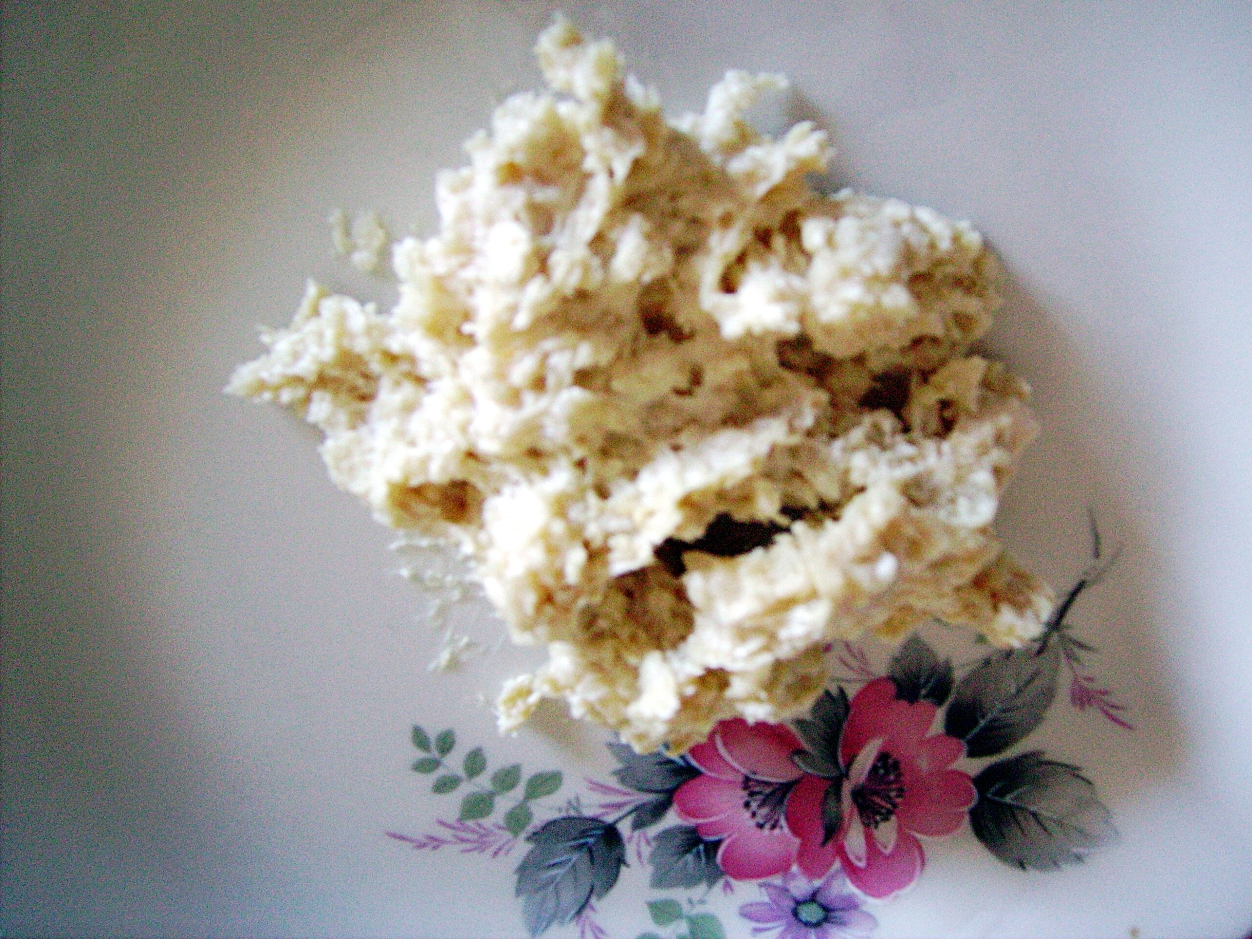 Food Taboo or Delicacy? 5 Dishes That Divide the World