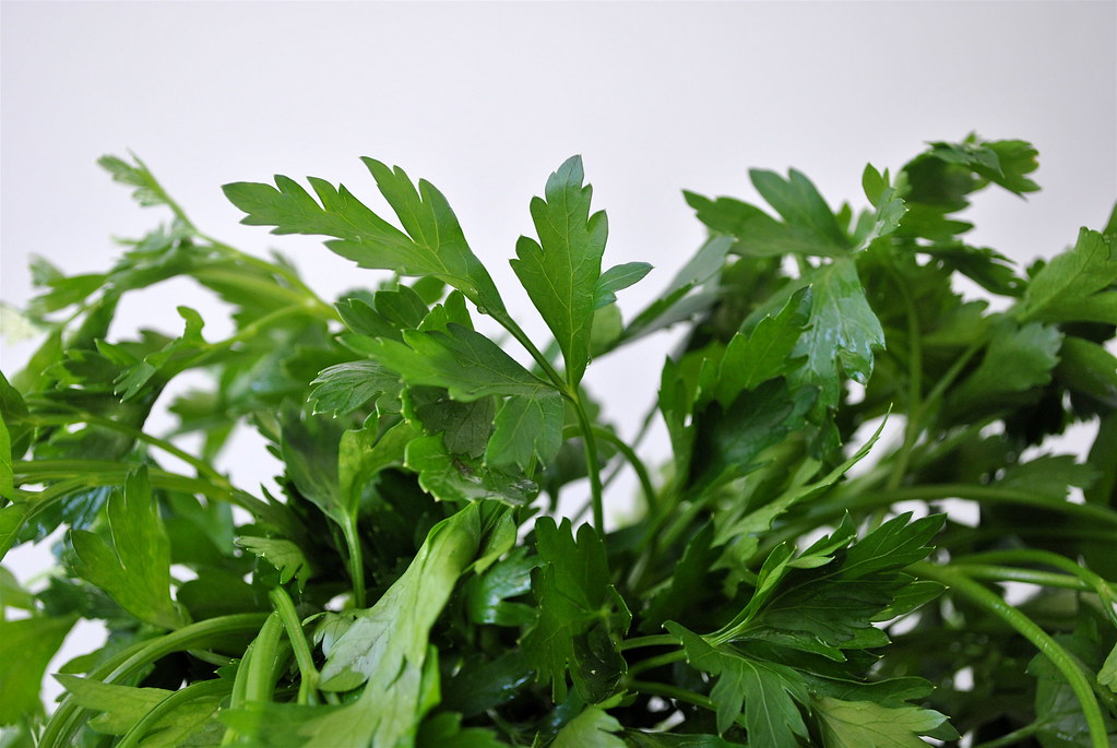 "Vegetables, Ranked by Nutrition—You'll Never Guess the Winner"