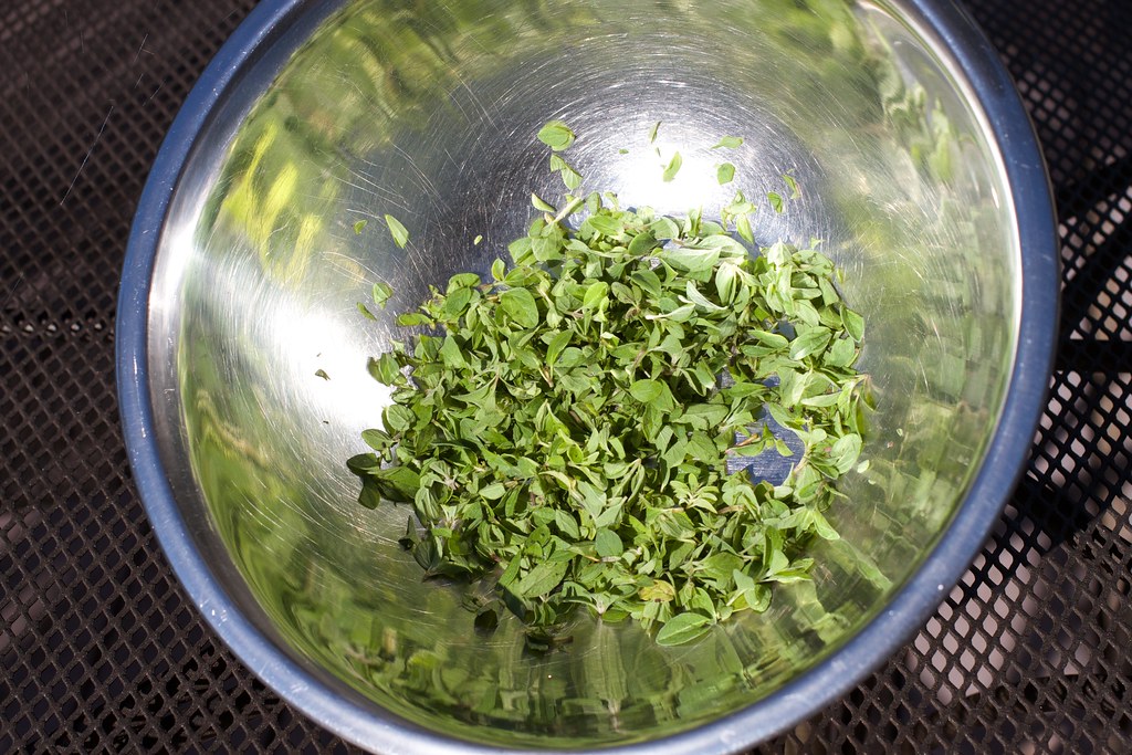 10 Dried Herbs You Should Never Keep Forever (Though People Rarely Toss Them)