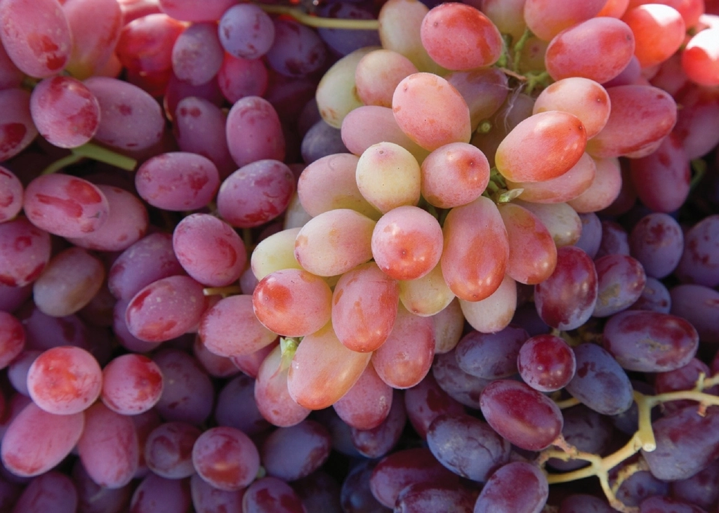 Ranked: The Worst Fruits for a Low-Sugar Diet