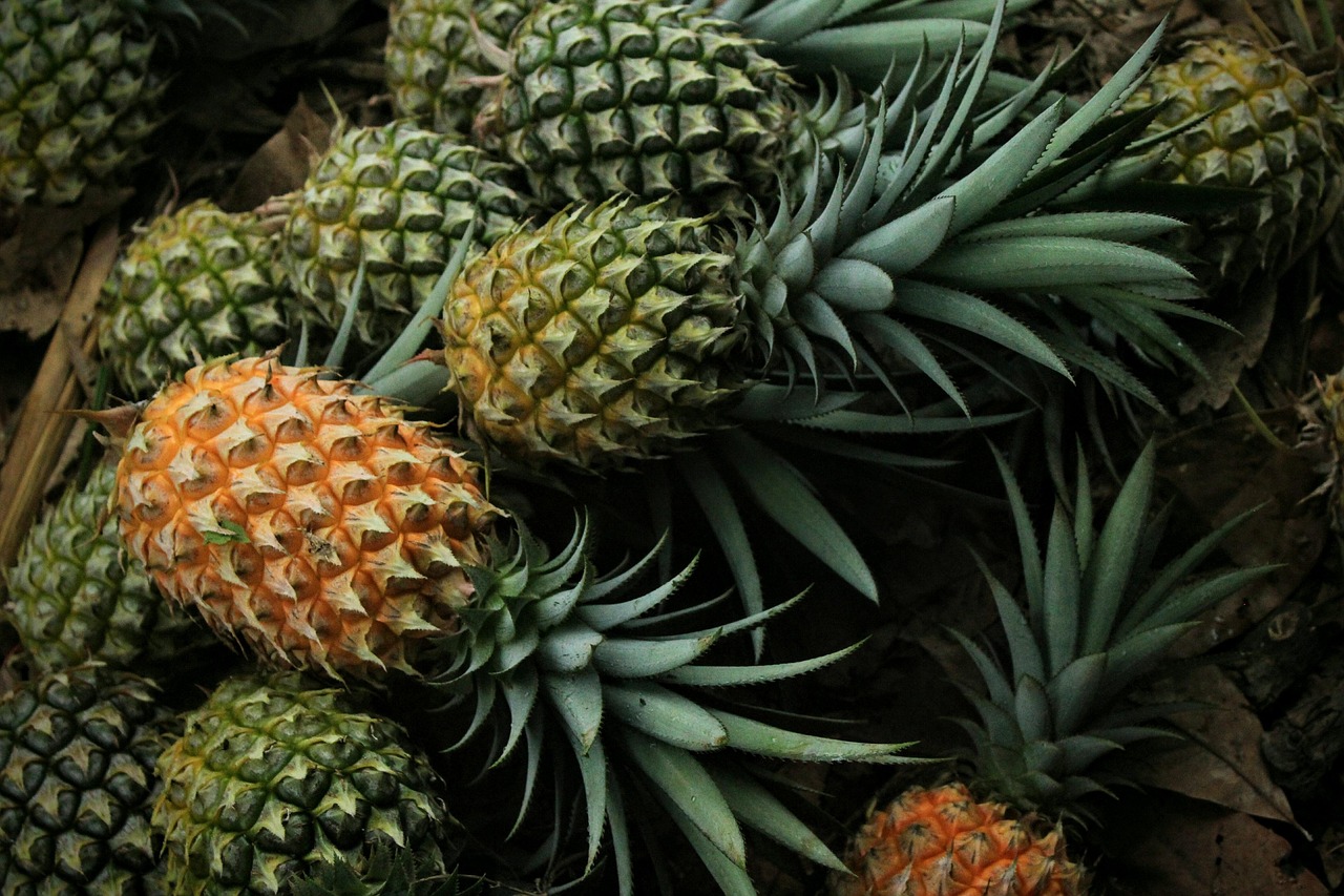The Most Misleading "Healthy" Fruits for Sugar Watchers