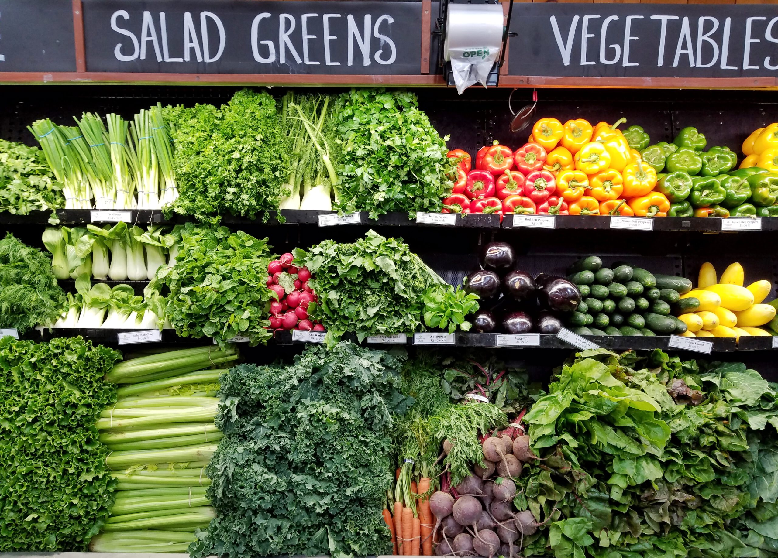Top 10 Brain Foods That May Help Ward Off Dementia
