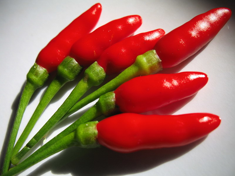 9 Fat-Burning Snacks—And 3 That Could Backfire