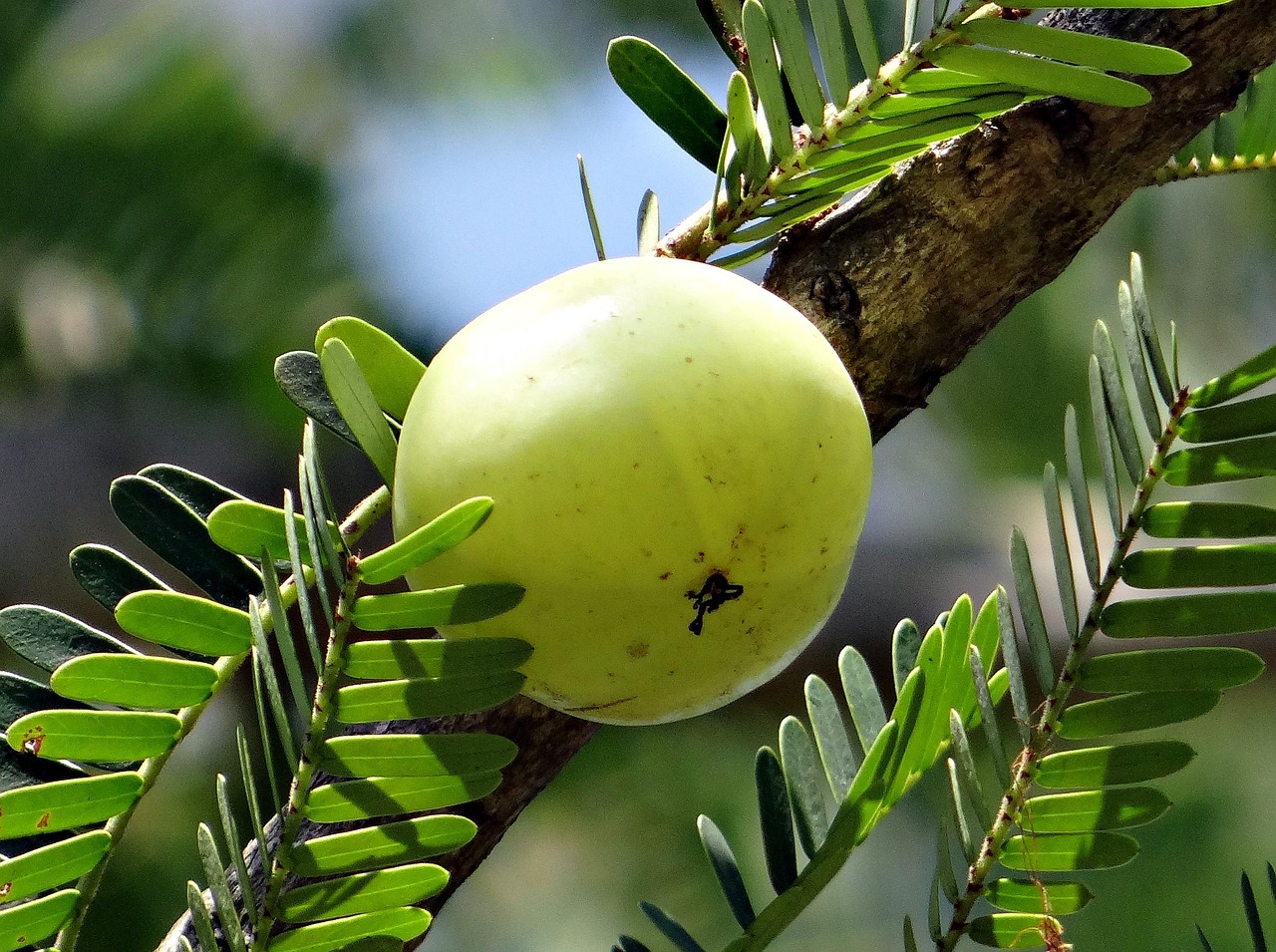 10 Natural Foods That Compete with Statins