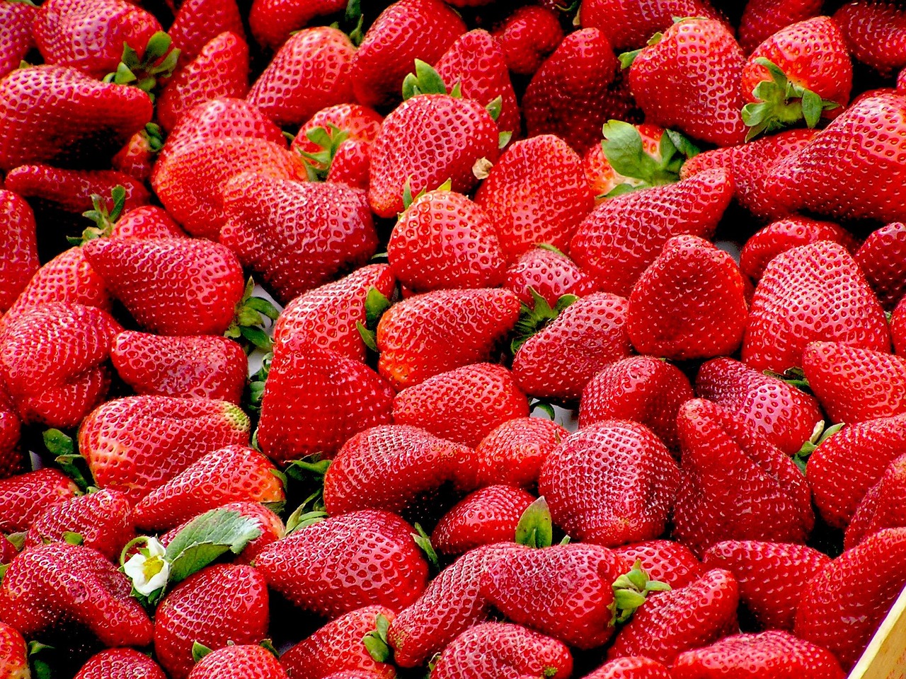 11 Organic Foods That Aren't Really Organic Even Though They Cost 300% More