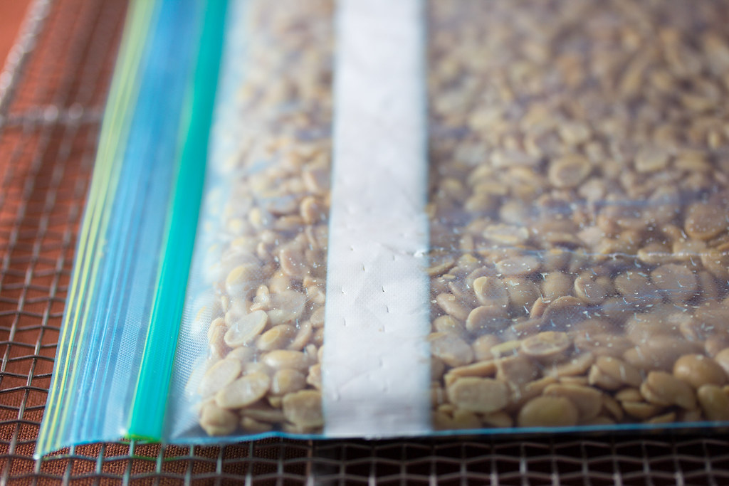 7 Fermented Foods That Expire Fast (Though Supposed to Be "Long-Lasting")