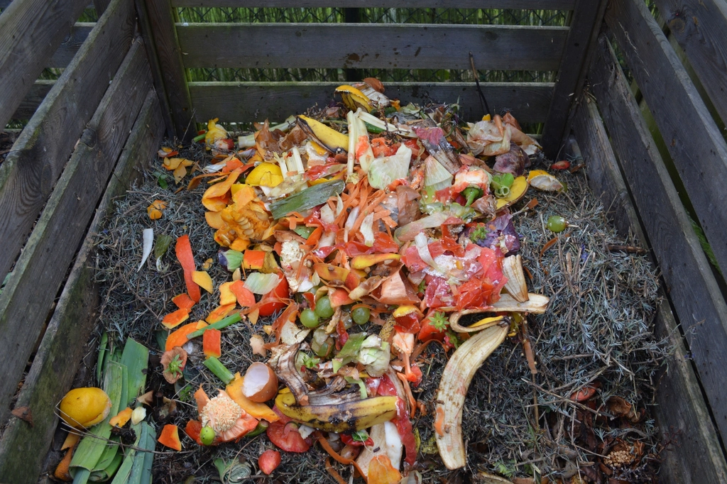 Why I No Longer Compost—And Why You May Want To Stop