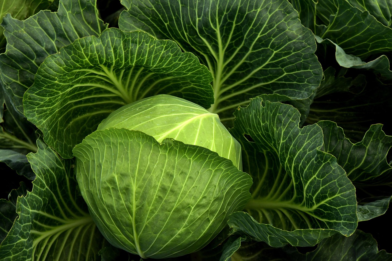 Cruciferous Vegetables: Ranked from Superstar to Unsung Heroes