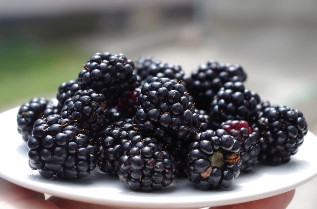 10 Antioxidant-Packed Berries Ranked from Juicy Powerhouses to Sweet Staples