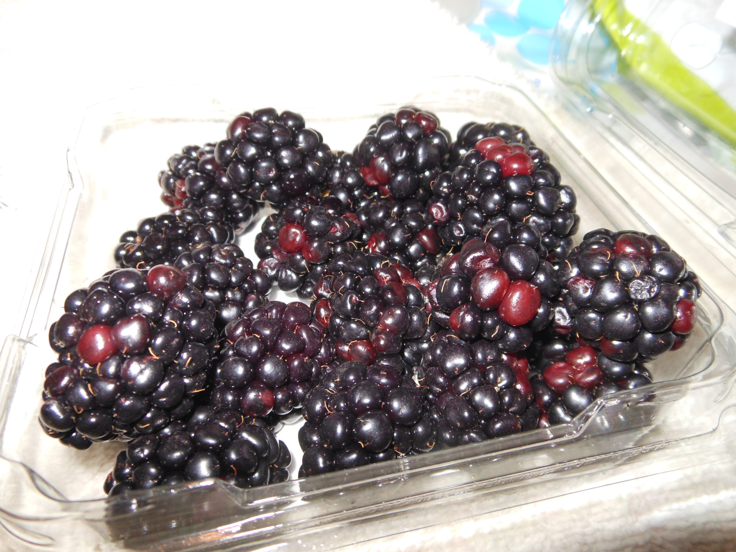 Berries Unveiled: The Ultimate Ranking from Best to Basic