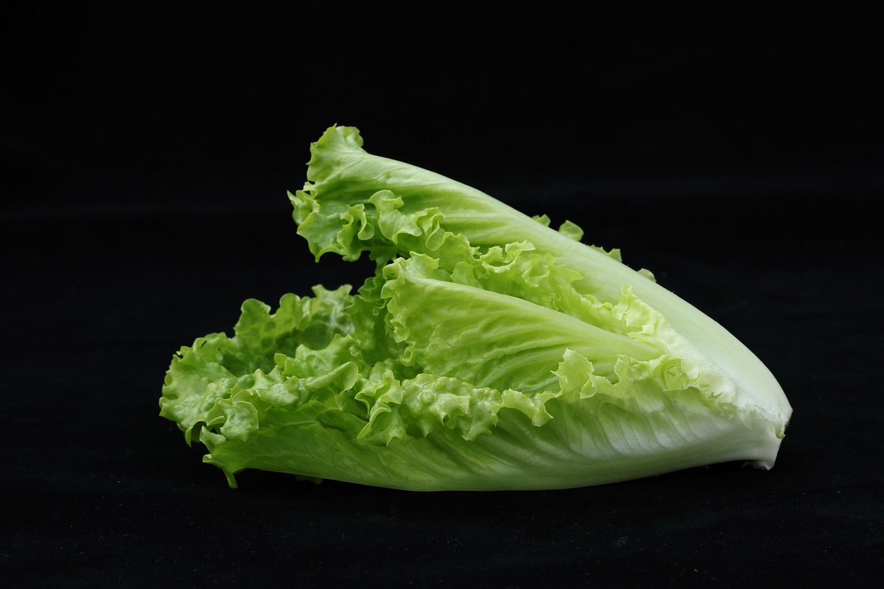 Top 10 Greens Packed with Pure Goodness—from Leafy Legends to Everyday Picks