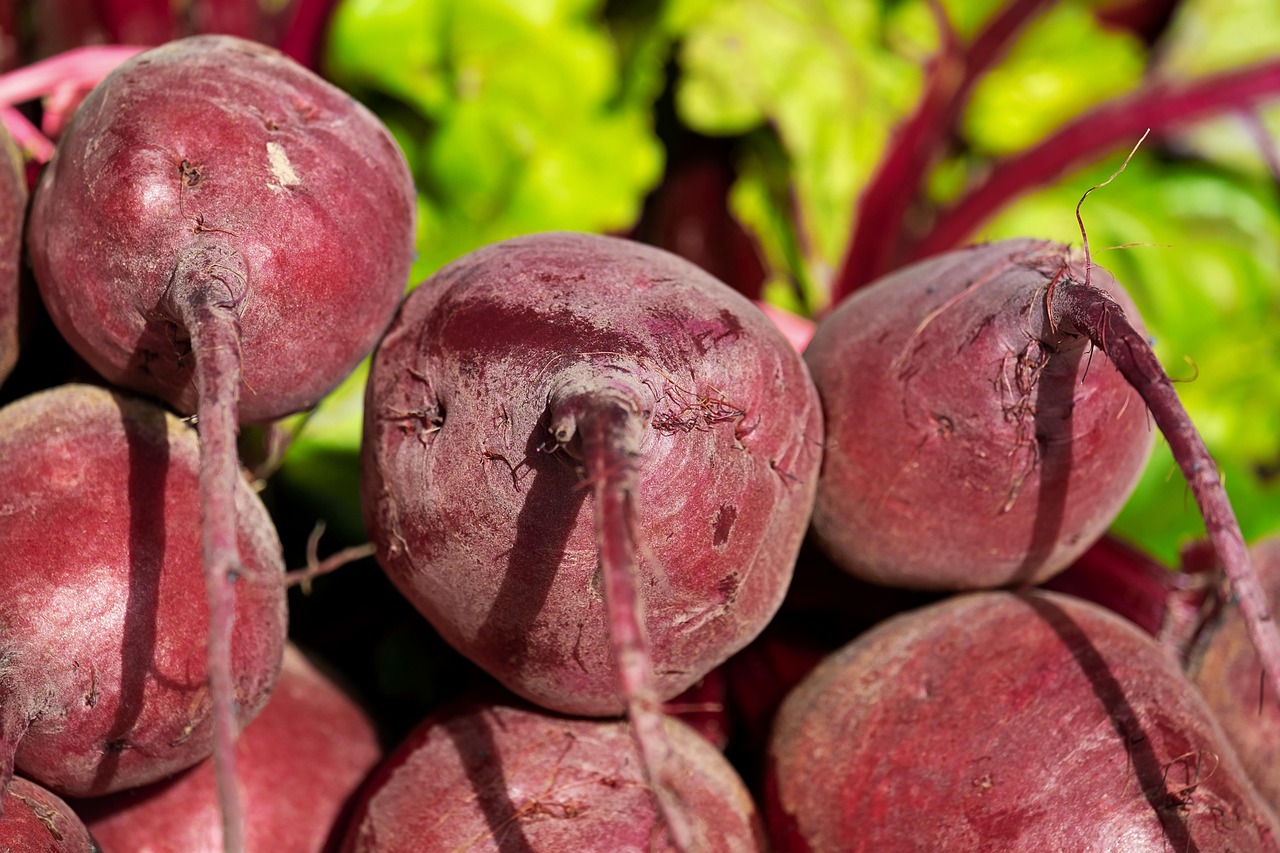 Top 15 Vegetables Every Vegan and Vegetarian Swears By