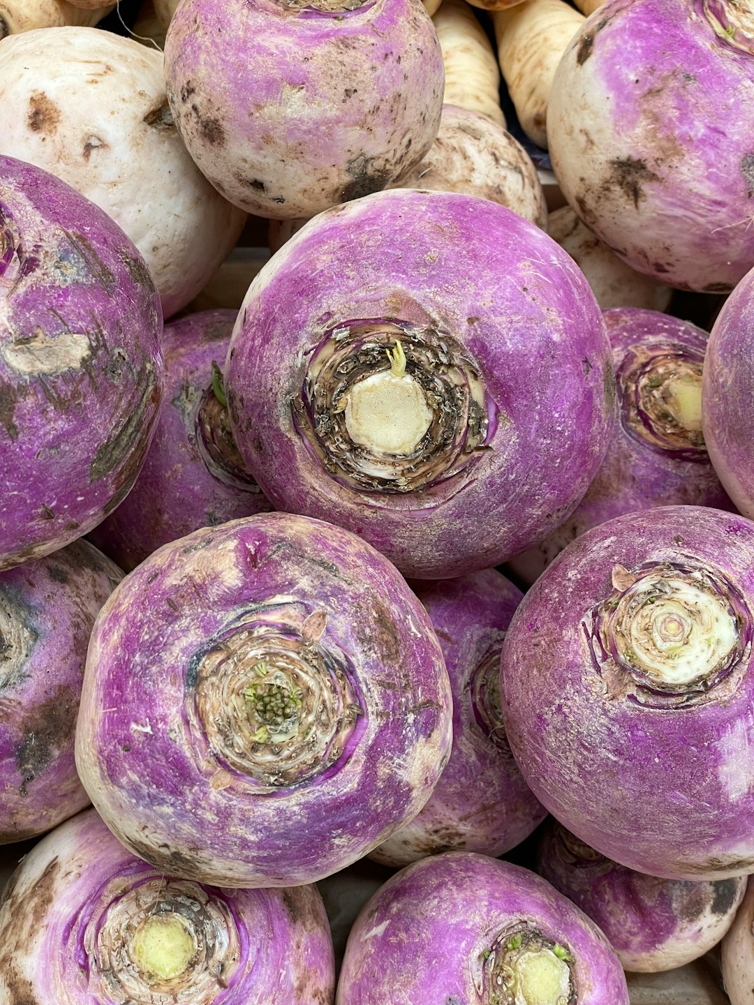 The Most Underrated Vegetable in America—And Why It Deserves a Comeback