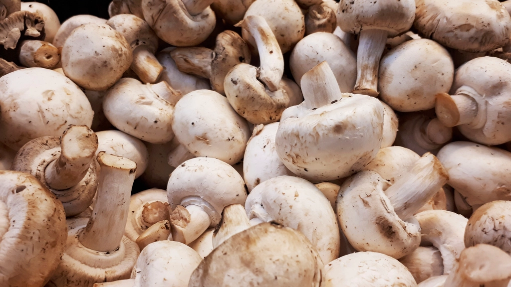 Top 10 Mushroom Varieties Used In Restaurant Menus