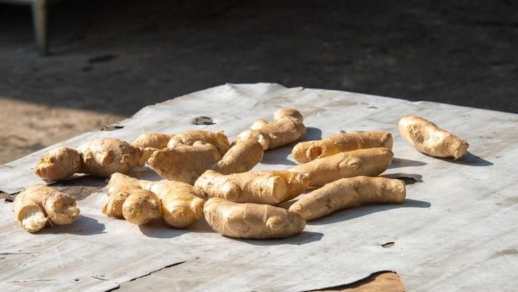Is Ginger Paste Truly a Match for Fresh Ginger?