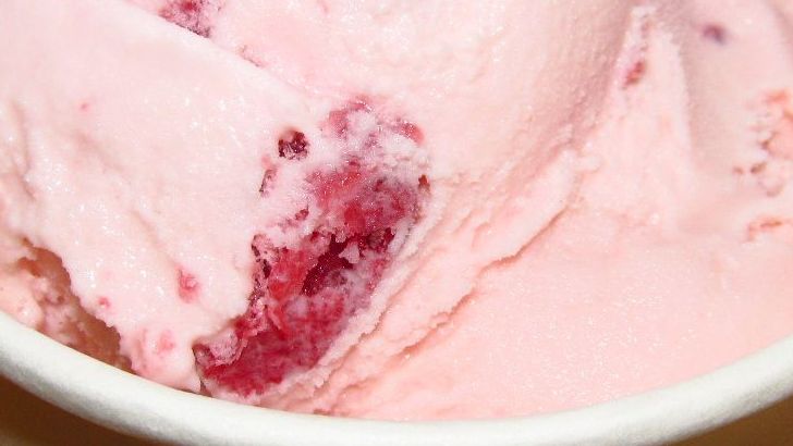 13 Vintage Ice Cream Flavors We Wish Were Still Sold In Stores
