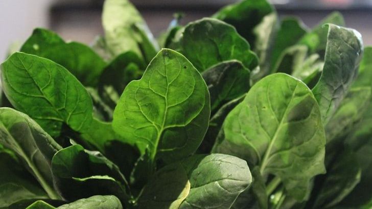 8 Vegetables Experts Say Are Best Eaten Raw