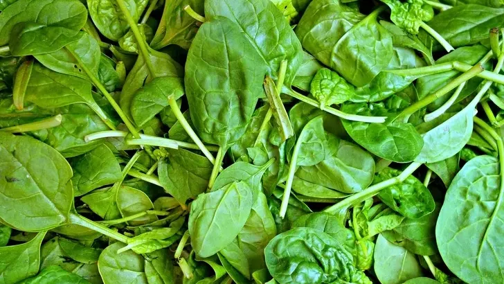 10 Foods Experts Say Are Worth Buying Organic