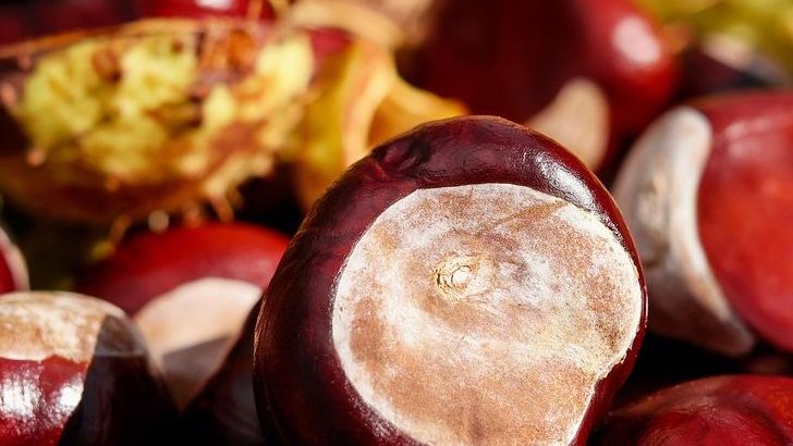 The Healthiest Nuts Ranked From Least To Most Nutritious