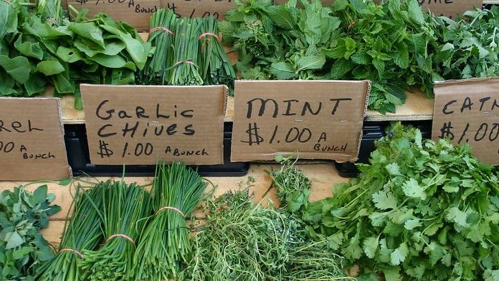 A Beginner's Guide to Using Fresh Herbs in Everyday Cooking