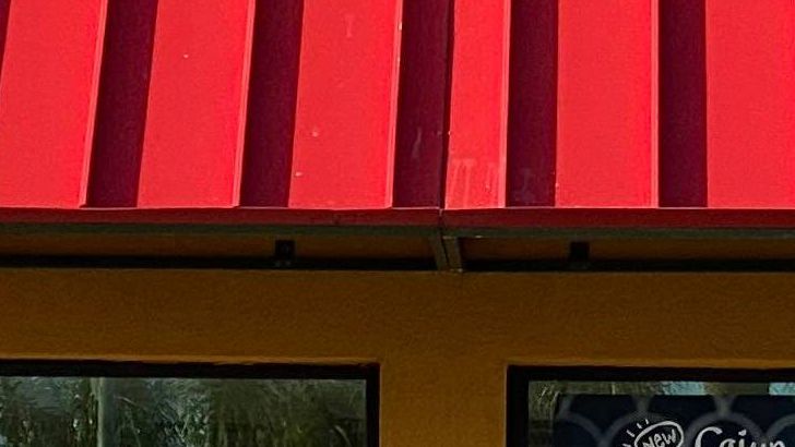 The Spice Mix That Defines Popeyes' Famous Fried Chicken