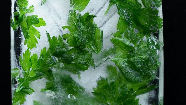 What to Know Before Freezing Fresh Herbs