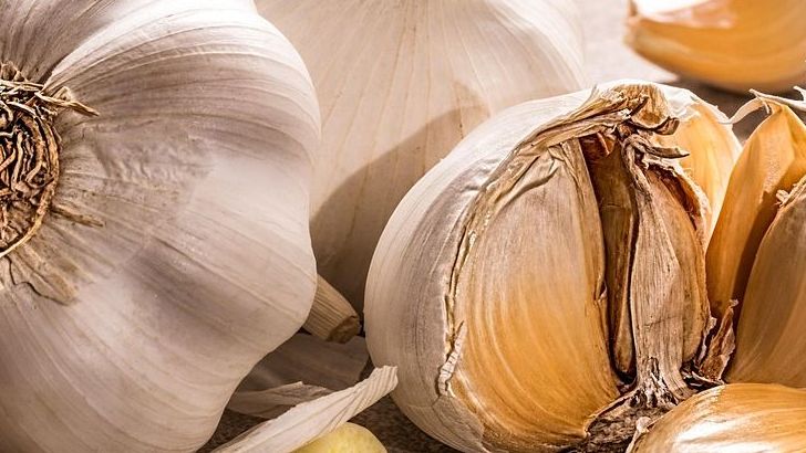 How to Store Garlic So It Lasts Longer