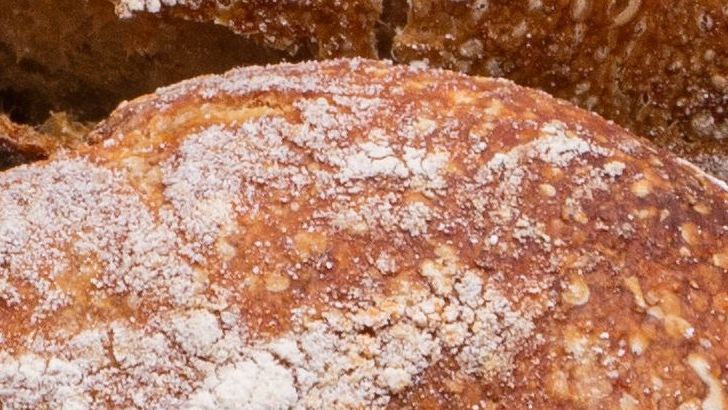 Why Sourdough Bread Stays Fresh Longer Than Regular White Loaves