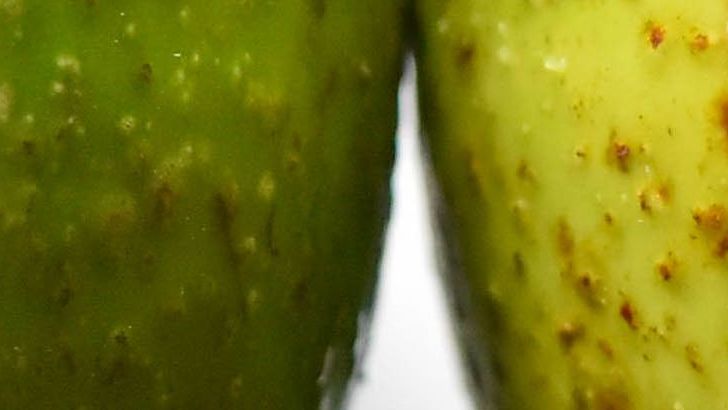 Why Avocados Ripen Faster In A Paper Bag With Bananas Or Apples