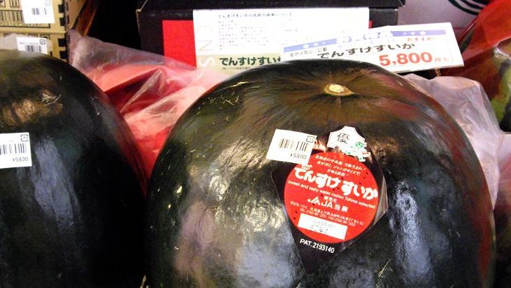 Rare and Exotic Fruits You May Not Know About