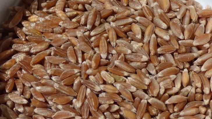 10 Whole Grains That Add Fiber And Flavor To Simple Meals