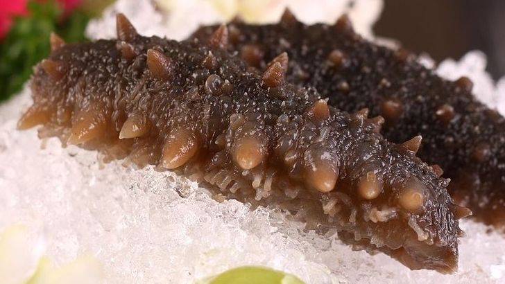 10 Traditional Japanese Dishes To Experience At Least Once