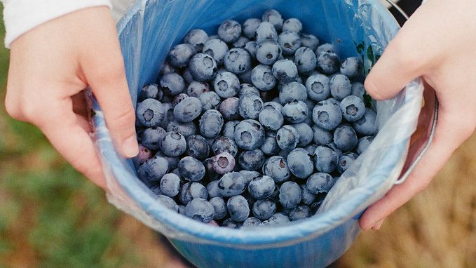 11 Foods Scientists Say Naturally Boost Brain Function