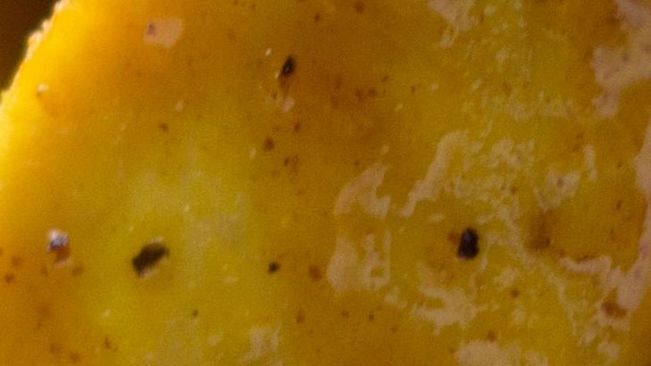 9 One-Pan Meals Chefs Rely On For Busy Nights