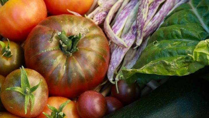 11 Organic Label Myths Experts Suggest You Question Next Time You Shop