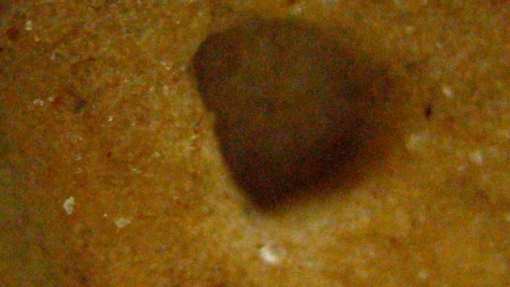 8 Beloved Childhood Snacks Making A Quiet Return