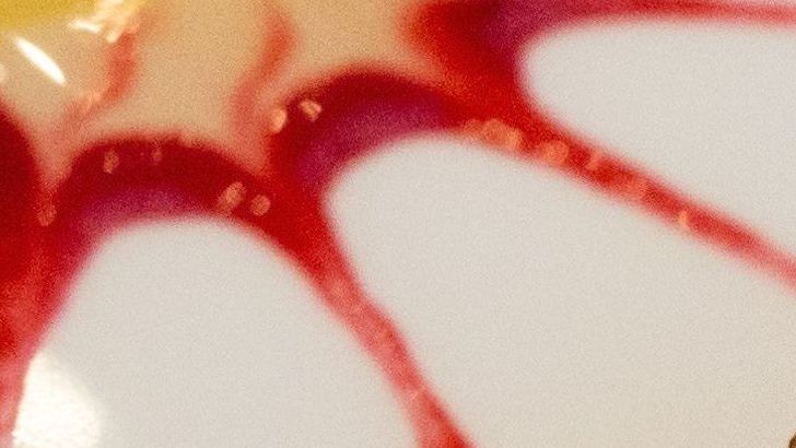 9 Forgotten American Desserts Worth Reviving, Pastry Chefs Suggest