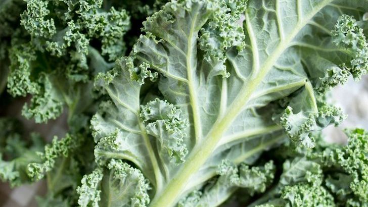 The 10 Healthiest Vegetables for 2025, Ranked by Nutritionists