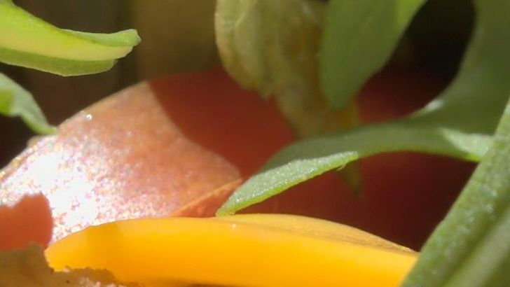 6 Fast-Food Items That Quietly Returned to Menus - Industry Analysts Confirm