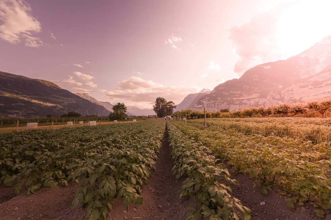 Canada, Mexico look to bolster agri-food trade