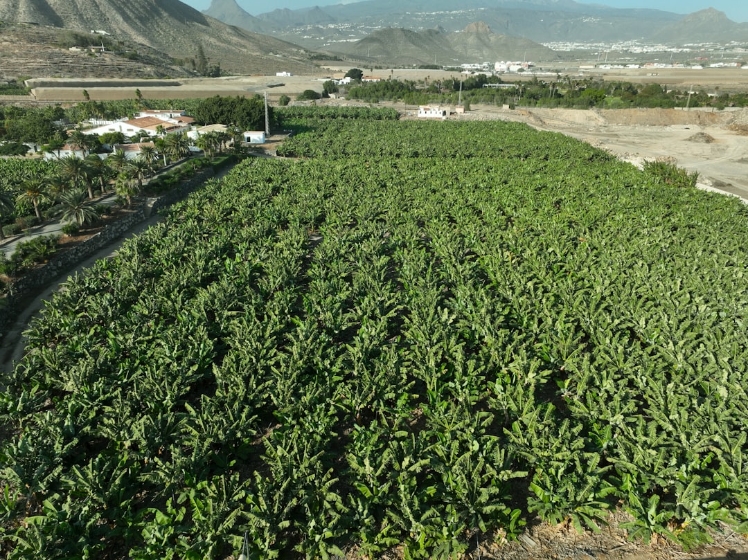 Canada, Mexico look to bolster agri-food trade