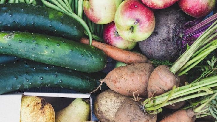 Good Food, Good Earth: How Your Plate Can Help the Planet